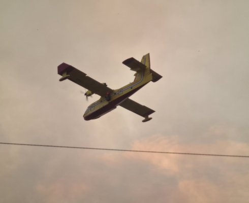 Foto: Borut Smrdel