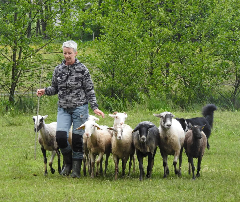 Posebne ženske - posebni poklici: pastirica Karmen Jakomin