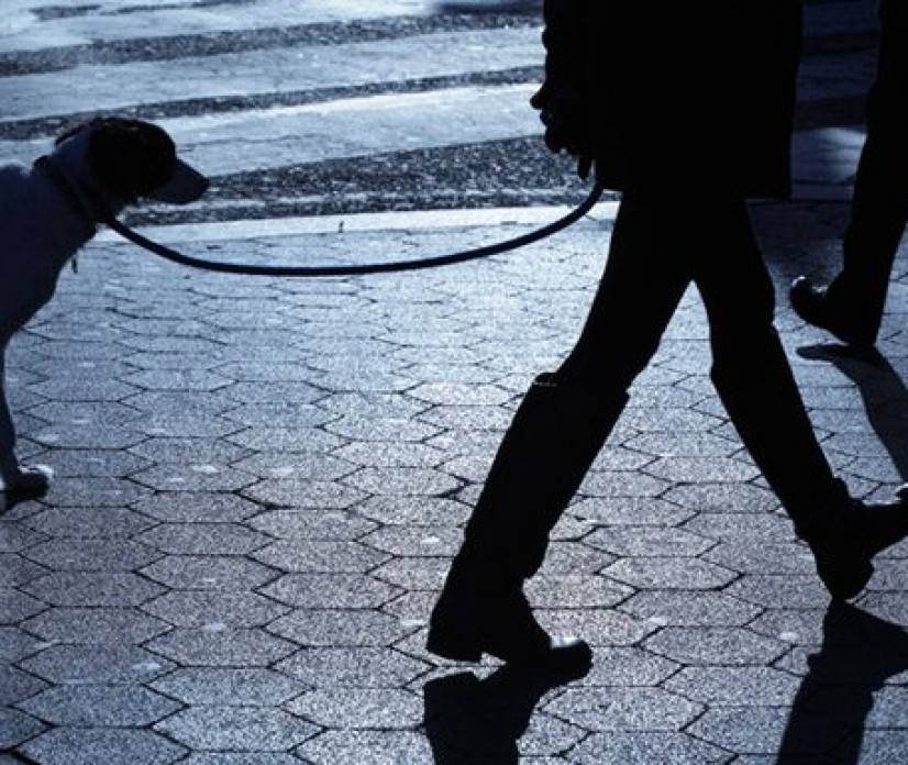 Kaj pomeni policijska ura za sprehajanje psov?
