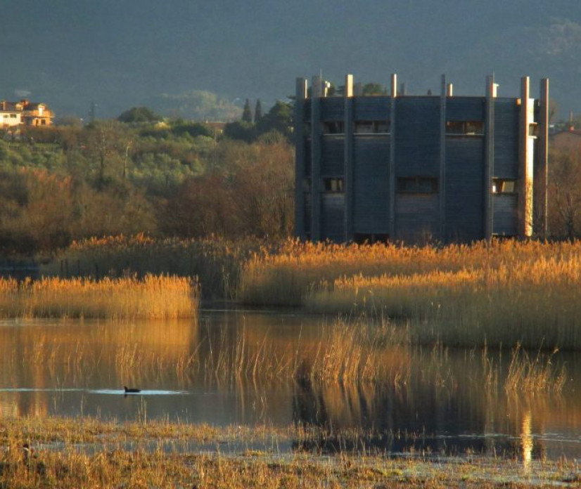 ECO-SMART SPLETNA DELAVNICA: Orodja in smernice za učitelje o vplivu podnebnih sprememb