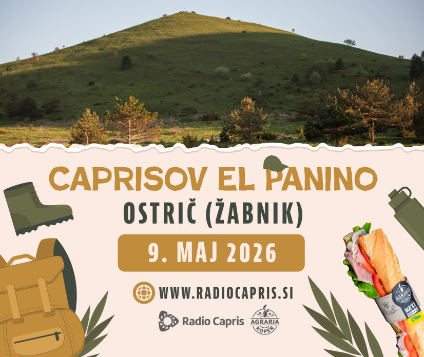 El panino: povzpeli se bomo na Ostrič (Žabnik)