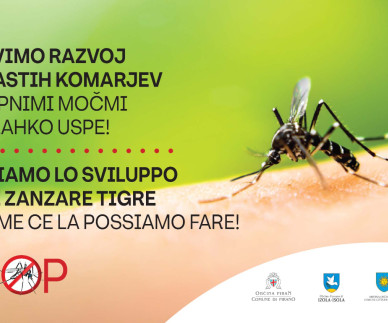 Občine slovenske Istre tudi letos s skupno preventivno akcijo zoper tigraste komarje