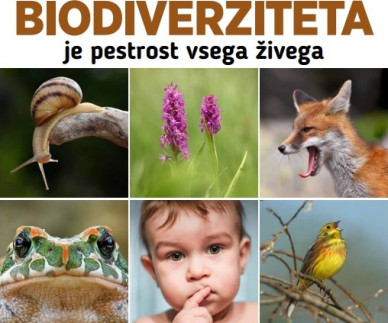 Biodiverziteta &ndash; na&scaron;a vsakdanja skrb
