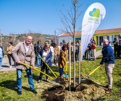 Občina Piran bogatej&scaron;a za sedem medovitih dreves