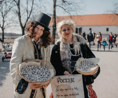 NA PRE&Scaron;ERNOV DAN PROST VSTOP V KOBILARNO LIPICA 
