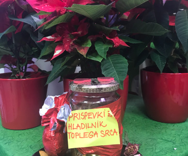 Cvetličarna Zlati cvet Lucija je skupaj s strankami predala donacijo v vi&scaron;ini 440 EUR!