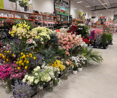 Dan žena: Caprisovi fantje vam bodo z rožami polep&scaron;ali praznik